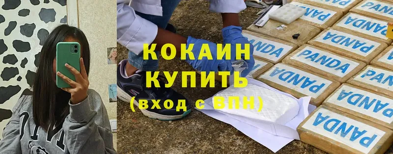 Cocaine 99%  купить закладку  Канск 