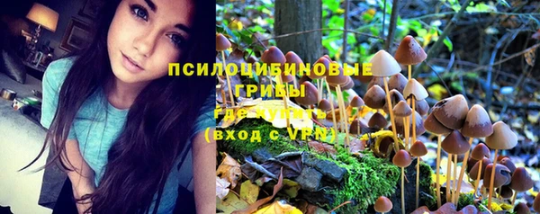 прущие грибы Михайловск