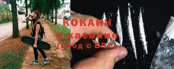 ГАЛЛЮЦИНОГЕННЫЕ ГРИБЫ Михайлов