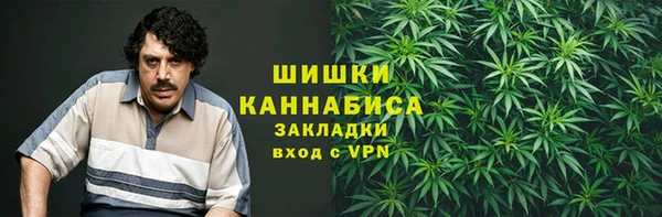 сатива Михайловка