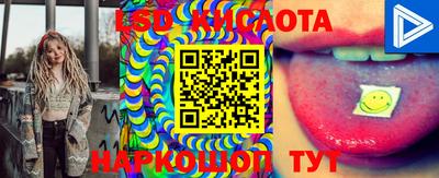 индика Ипатово